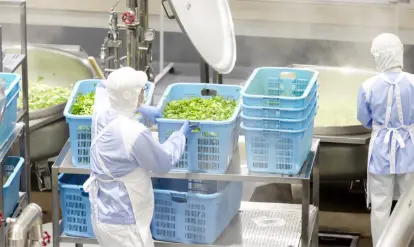 採用情報モバイルイメージ